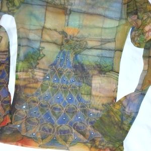 Sheer and colorful long sleeve ladies top. Small. Used one time for a photo shot